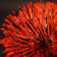 Textiles, Adornment & Personal Objects